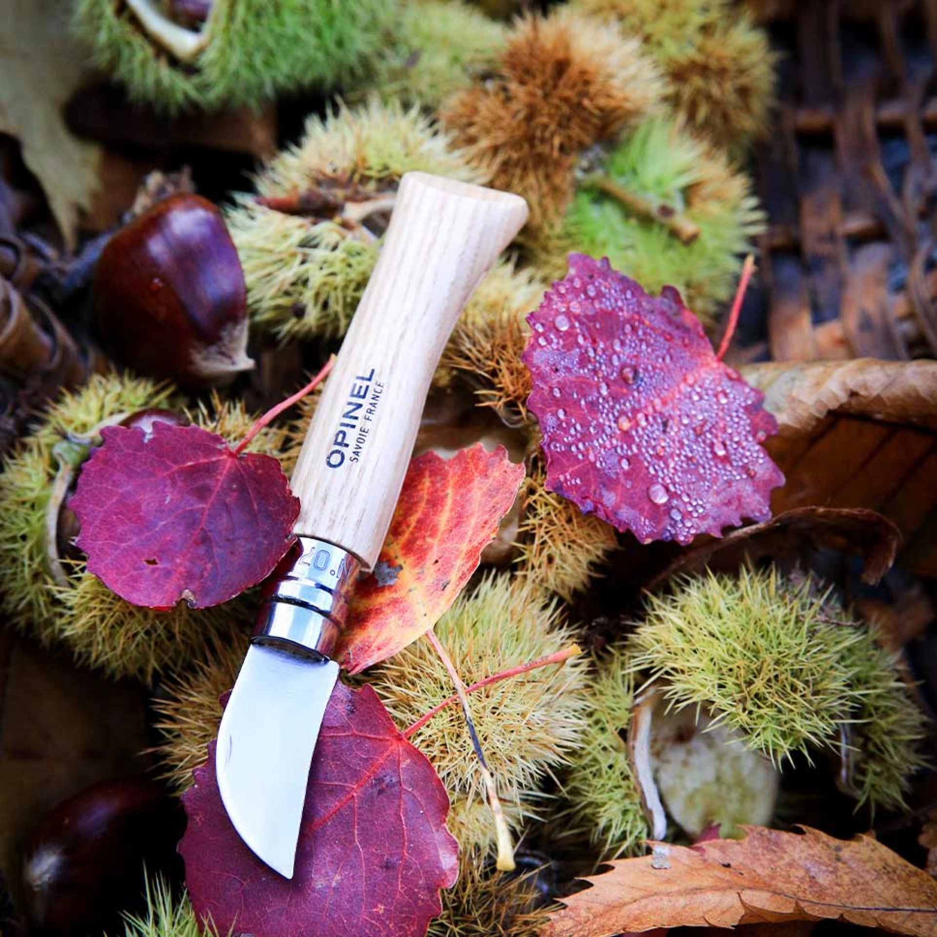 Opinel nº 7 Chataignes y Ail - Imagen 4
